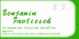 benjamin pavlicsek business card